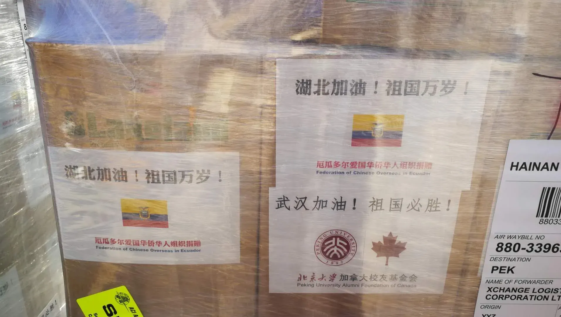 Palletised donation cartons labelled by the Federation of Chinese Overseas in Ecuador and the Peking University Alumni Foundation of Canada, consigned by air to Beijing