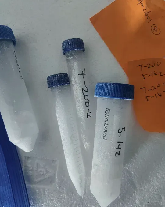 Laboratory sample tubes with blue caps, numbered by hand, beside a hand-written note